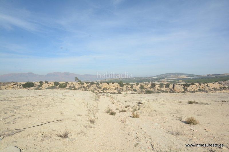 Foto 7b5e1b2b-7145-48e1-8d84-ba9dab680ebc. Finca rústica a Desamparados - Hurchillo - Torremendo Orihuela