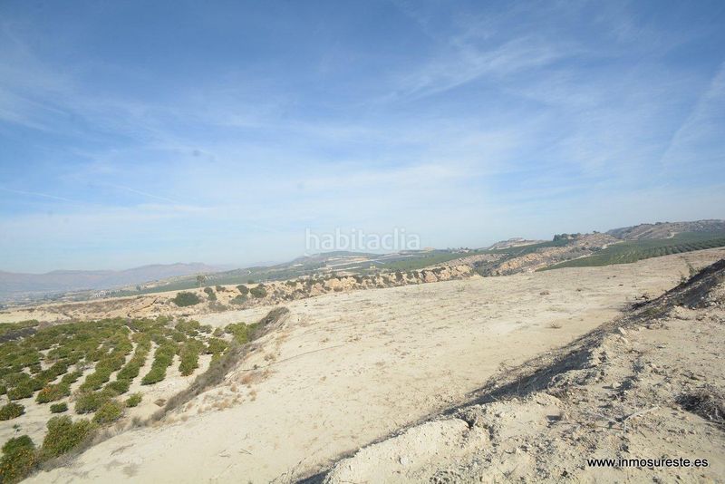 Foto a96af3ac-ea60-4898-9c32-e7d1f69a0fba. Finca rústica a Desamparados - Hurchillo - Torremendo Orihuela