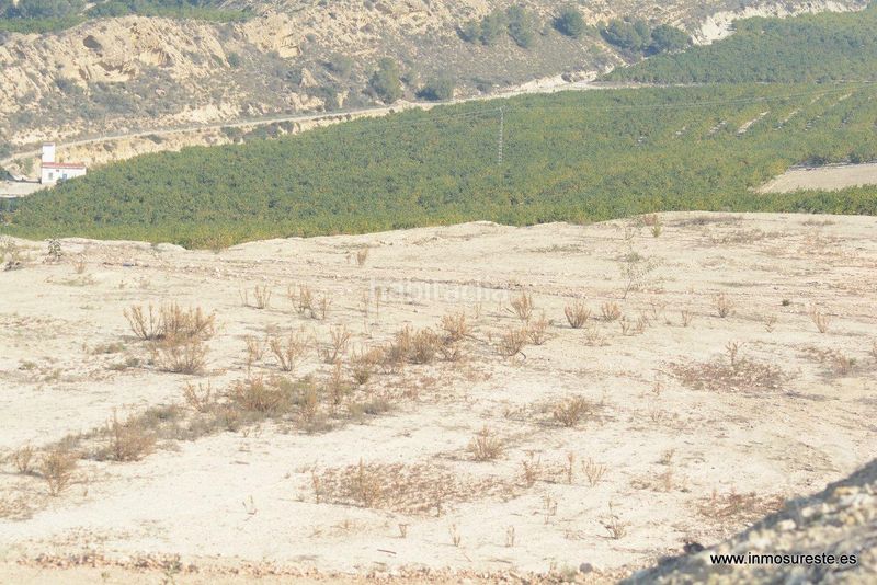 Foto c67e4651-46c0-434d-84ab-5a11ab3c370c. Finca rústica a Desamparados - Hurchillo - Torremendo Orihuela