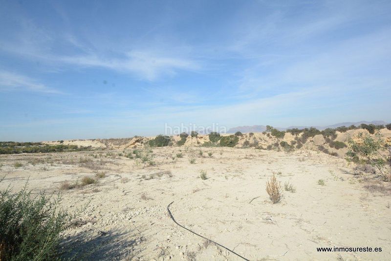Foto dcae33f1-9b9e-47c8-bf30-e458fc7a9863. Finca rústica a Desamparados - Hurchillo - Torremendo Orihuela