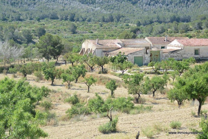 Foto 3f2cc2c1-2033-4e76-b72f-f083d9474b66. Finca rústica a Sucina Murcia
