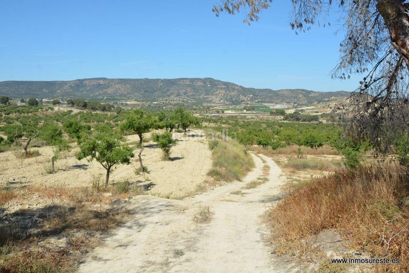 Foto 66a5d159-afe9-4097-aa00-744e0b8f5f10. Finca rústica a Sucina Murcia