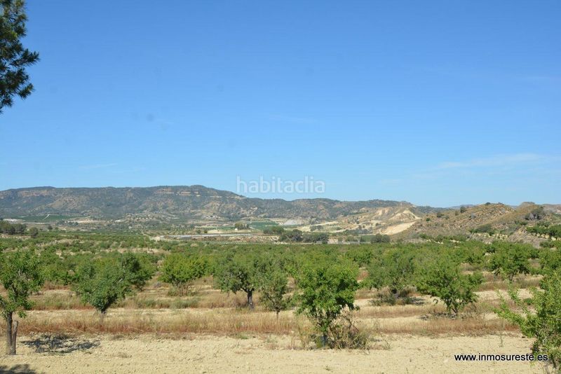 Foto a427a0ae-9a6b-4dae-a59a-701aa48520ca. Finca rústica a Sucina Murcia
