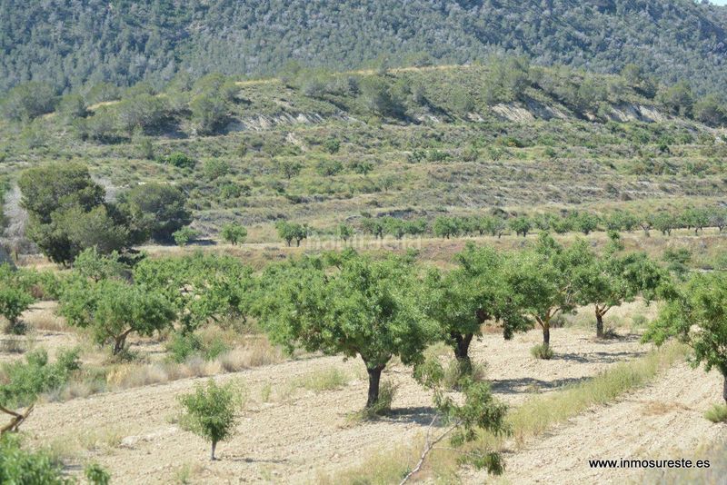 Foto b04272f3-22c0-4e24-b6eb-d0ca94c65ca2. Finca rústica a Sucina Murcia