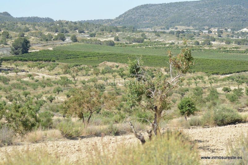 Foto e2bb01c4-2d93-4af3-a373-3f31309fbba2. Finca rústica a Sucina Murcia