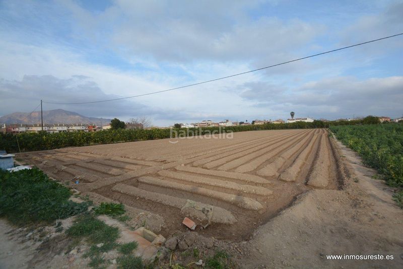 Foto 52bbfcd3-4460-4f33-8099-87817f8860c8. Finca rústica a Molins - Campanete - San Bartolomé Orihuela
