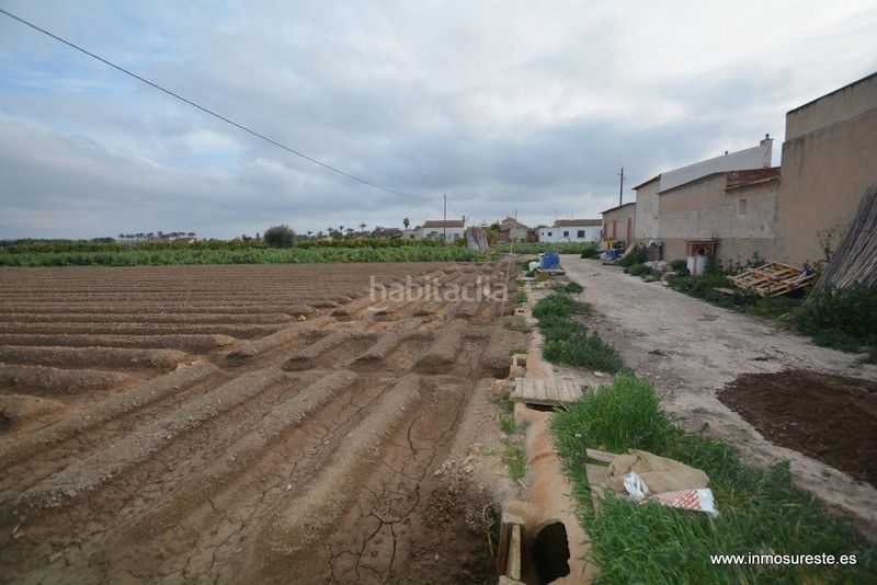 Foto ac332a2a-50af-4467-b3ef-a401b9f30146. Finca rústica a Molins - Campanete - San Bartolomé Orihuela