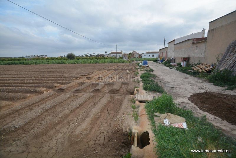 Foto b72bebab-8117-4639-a0ea-8c2da67caeda. Finca rústica a Molins - Campanete - San Bartolomé Orihuela