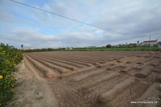 Finca rústica en Molins - Campanete - San Bartolomé. Gran oportunidad !! parcela de terreno rústico en la pedanía de