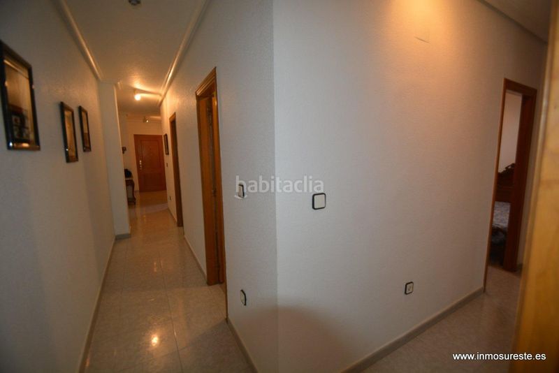 Foto a2caf9b3-1715-4383-b4c3-0805a42bcdbd. Pis a Orihuela ciudad Orihuela