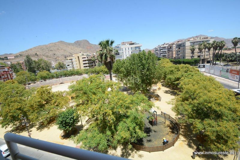 Foto ef0d2d0a-3451-4341-bb5b-cd5f8b85f223. Pis a Orihuela ciudad Orihuela