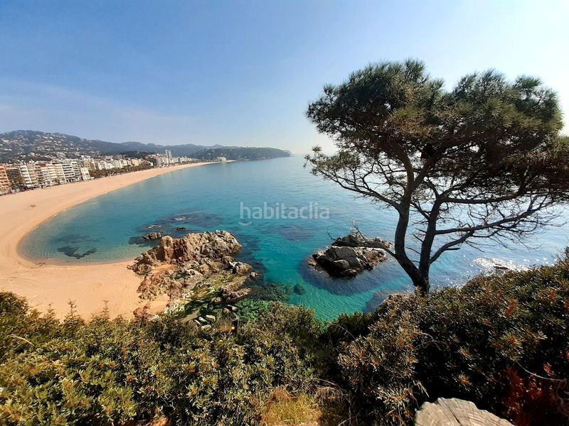 Foto 2ae3cfbf-8abc-42bd-ace0-37dbd8899734. Terreny residencial a Roca Grossa Lloret de Mar