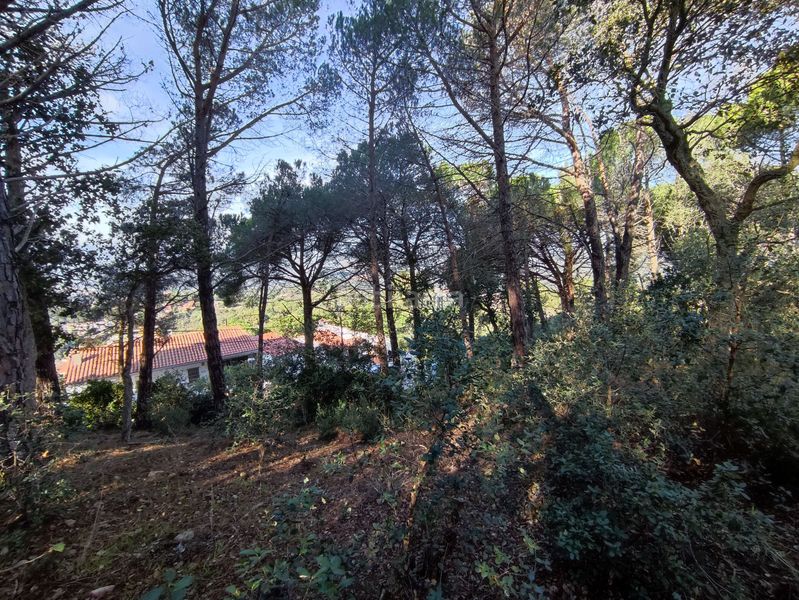 Foto 303d5fd0-53f5-4068-adbc-03b18a482cb1. Terreny residencial a Roca Grossa Lloret de Mar