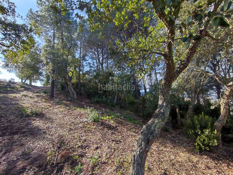 Foto 46fc379c-a596-4a8e-979c-ead3bfd6ad12. Terreny residencial a Roca Grossa Lloret de Mar