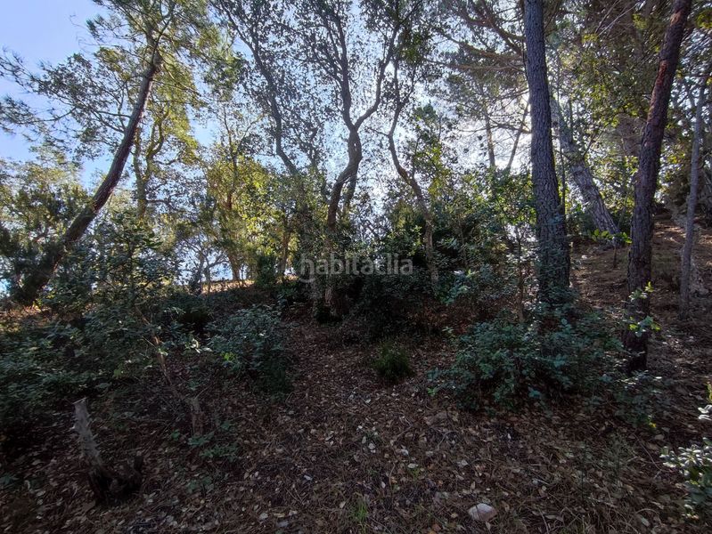Foto ac5b0607-daf1-4b1f-98bb-596881e6020e. Terreny residencial a Roca Grossa Lloret de Mar