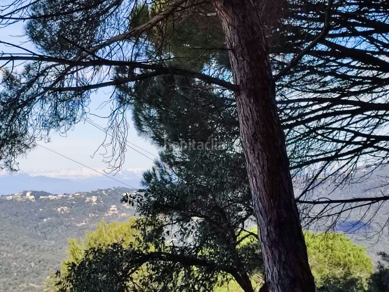 Foto d81d8c3b-41de-47d8-9fed-a972366d8719. Terreny residencial a Roca Grossa Lloret de Mar