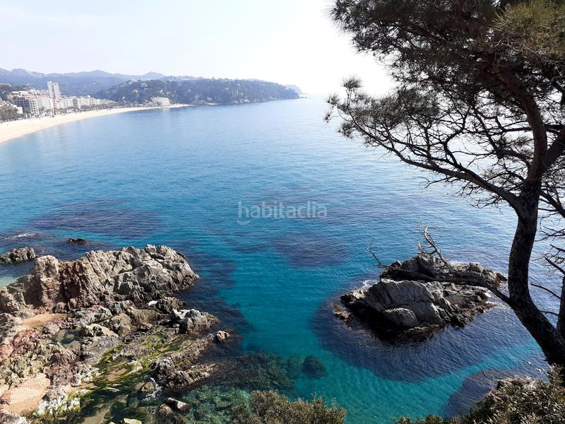 Foto 6aecb7cb-68b4-4f3d-9f13-597e0ac2ea98. Terreno residenziale in Centre Lloret de Mar