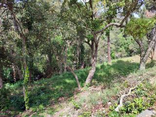Residential Plot in Lloret Blau - La Creu de Lloret. Terreno de 800m2 en lloret blau-lloret de mar
