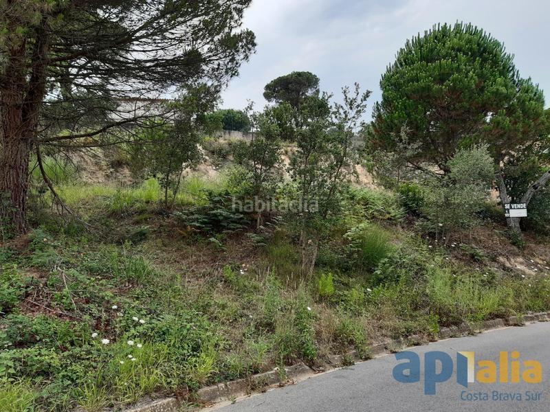 Foto 019133ba-9e97-4d70-b04b-5256f94f48ee. Terrain résidentiel dans Lloret Residencial - Montlloret Lloret de Mar