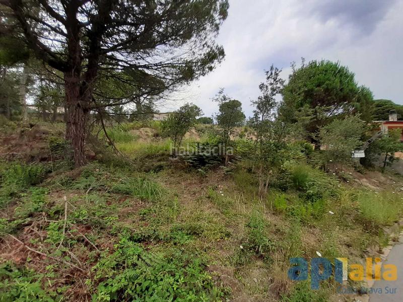 Foto 3970b99c-ed5a-47b5-b03e-6f64467d2e6a. Terrain résidentiel dans Lloret Residencial - Montlloret Lloret de Mar