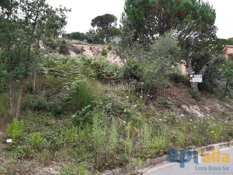 Foto c4c067f0-28cc-42ce-9d61-a203937b1cd5. Terrain résidentiel dans Lloret Residencial - Montlloret Lloret de Mar