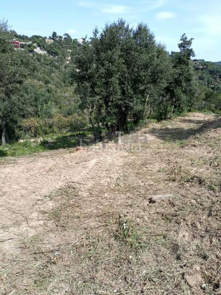 Foto cc644c8e-752b-4840-b5bd-72e2ca791de4. Terreno residenziale in Lloret Residencial - Montlloret Lloret de Mar