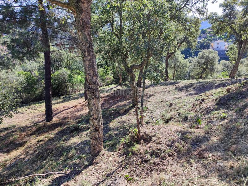 Foto 0f7ab49f-2425-4edd-9ad8-8be6f55732f2. Wohngrundstück in Lloret Residencial - Montlloret Lloret de Mar