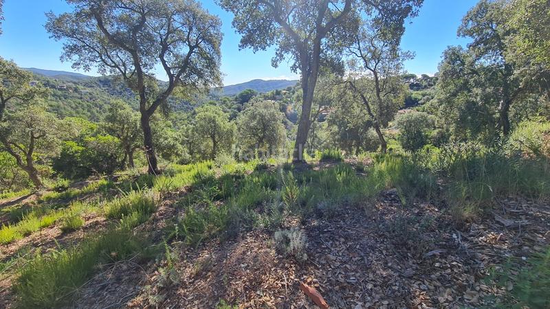 Foto 2977e36a-084e-4536-b272-a860d1336a6c. Wohngrundstück in Lloret Residencial - Montlloret Lloret de Mar