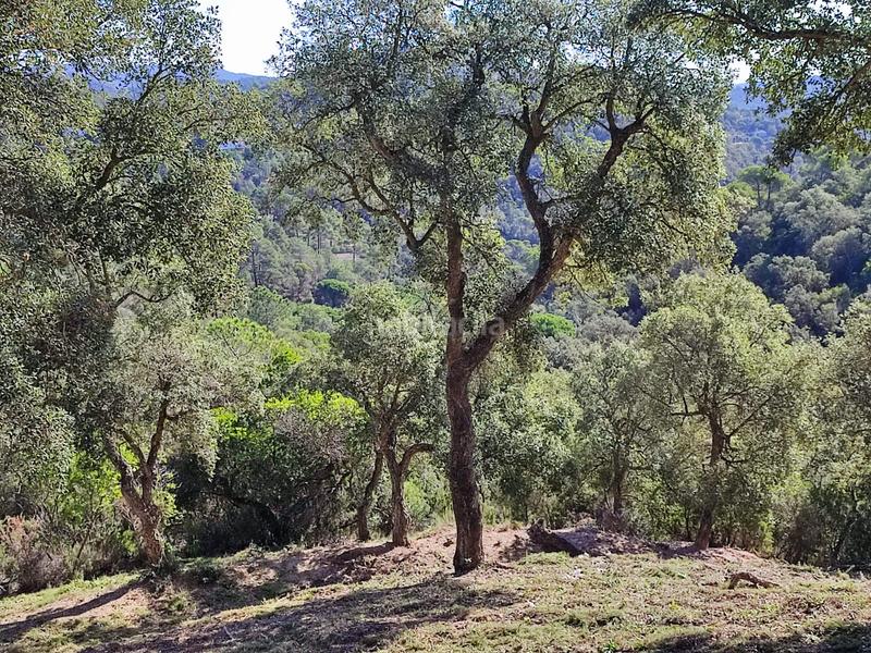 Foto 7087053d-26da-400f-8c43-17ef07fbb8bd. Wohngrundstück in Lloret Residencial - Montlloret Lloret de Mar