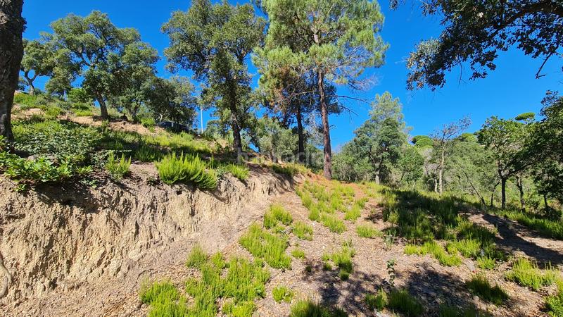 Foto a90800e7-f4dd-4313-81c6-a2674ffefe8a. Wohngrundstück in Lloret Residencial - Montlloret Lloret de Mar