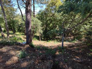 Residential Plot  Carrer les mimoses
