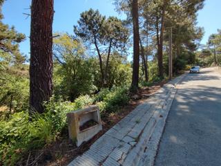 Terreny residencial  Carrer les mimoses