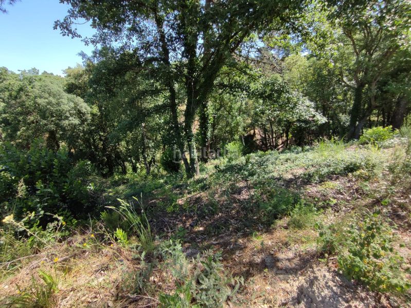 Foto 1c0c7919-5a55-441c-9f19-0e50a67419b4. Wohngrundstück in Terrafortuna - Puig Ventós Vidreres