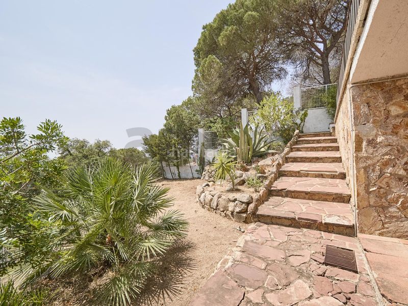 Foto 3d6e49d9-8878-4561-a3ec-c9a401a15664. Casa con camino riscaldamento parcheggio in Lloret Verd - Els Pinars Lloret de Mar