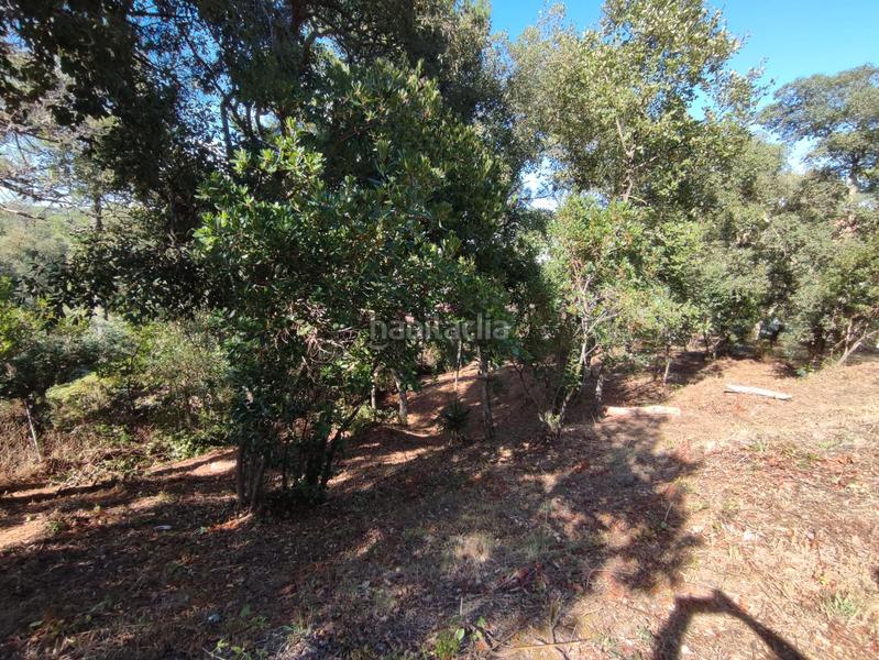 Foto 9694c400-0b8b-489d-a310-28d4c6d8b856. Terreno residenziale in Terrafortuna - Puig Ventós Vidreres