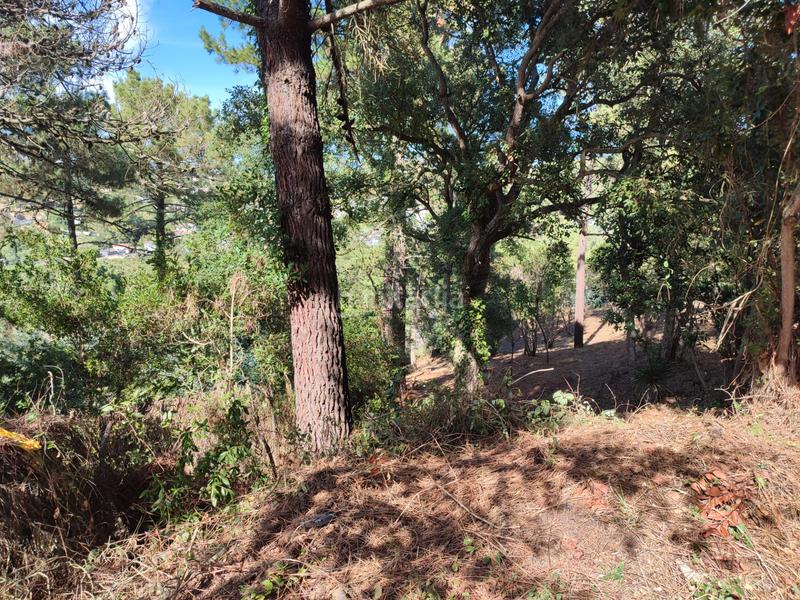 Foto b3dc23d8-4074-4933-8660-272746211874. Terreno residenziale in Terrafortuna - Puig Ventós Vidreres