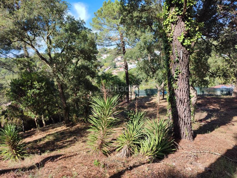 Foto ff7a75bb-3338-4a00-9299-7c695037a465. Terreno residenziale in Terrafortuna - Puig Ventós Vidreres