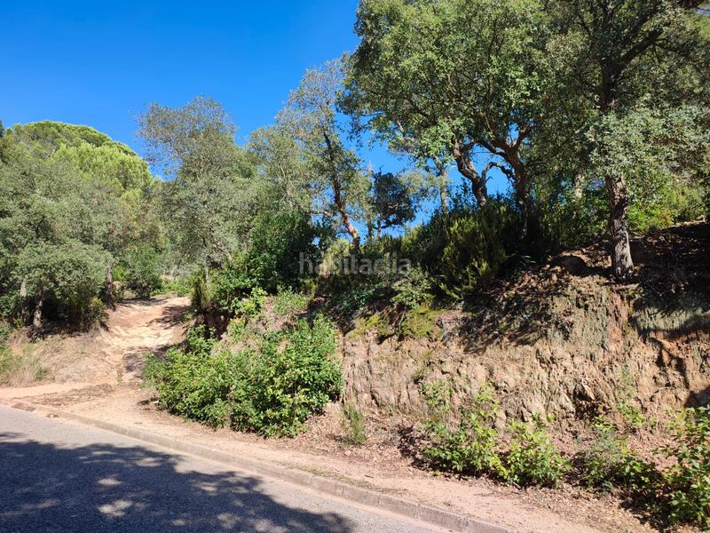 Foto 03f7156d-79e1-4f64-b38d-97d9d891fe2d. Residential plot in avinguda de la senyera 88 in Lloret Residencial - Montlloret Lloret de Mar