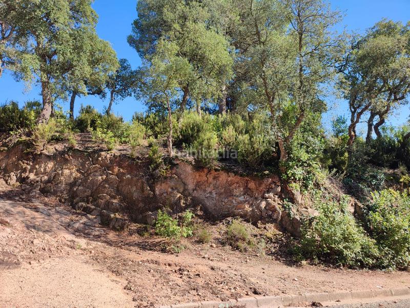 Foto 91d12143-a56a-4638-82a8-1e8f7589ff74. Residential plot in avinguda de la senyera 88 in Lloret Residencial - Montlloret Lloret de Mar