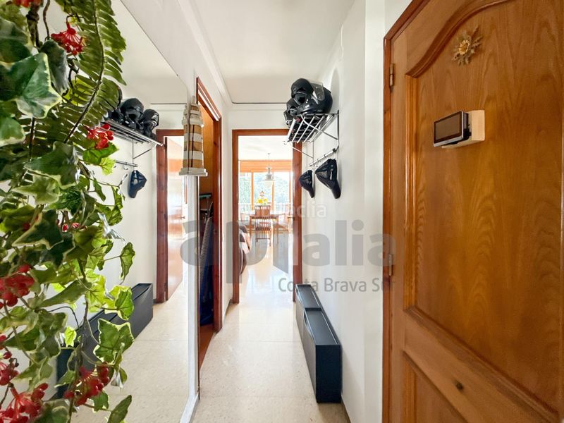 Foto 0d85dbdb-c130-463c-8fee-3aac76d0a0dc. Apartament a Mas Baell-Can Carbó Lloret de Mar
