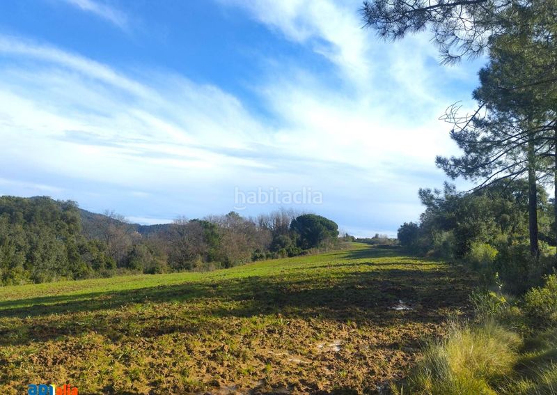 Foto 6d8cf21e-f7bc-4d17-a95e-a7568702589c. Masia a Massanes
