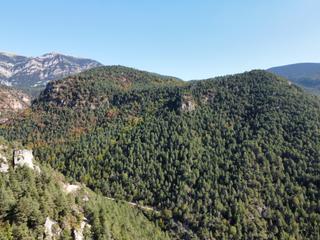 Rural plot in Castellar del Riu. Finca canals
