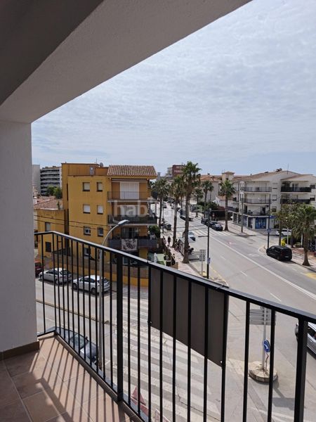 Foto 98456ea6-c6a6-4271-af35-9f34fffeff24. Pis a grecia 56 a l´Estartit poble Estartit