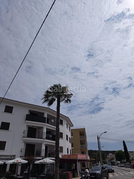 Foto e2cce37d-4c78-407a-af0f-064c9872ea01. Pis a grecia 56 a l´Estartit poble Estartit