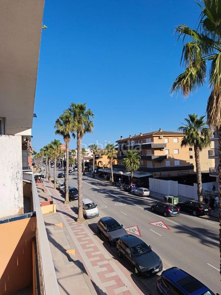 Foto 869917f8-6fd3-4514-b9bc-86262fafcb02. Pis a grecia 68 a l´Estartit poble Estartit