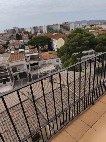 Foto 50b459e7-f1be-45ae-856a-f69ecbef5cfa. Pis a mediterrania 24 a l´Estartit poble Estartit