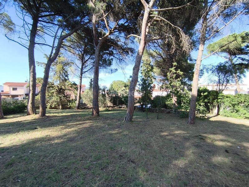 Foto 69e9a103-e9be-4652-8cc6-3c7dec7d6437. Xalet amb piscina a Riells Escala (L´)