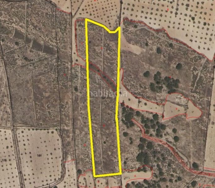 Foto 2089a5f5-44e3-4b27-88cc-252b4f2c8da9. Finca rústica a poste Abanilla 165 a Abanilla