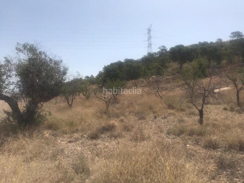 Foto f48fe225-cde2-42e2-a068-a27820ce446e. Finca rústica a poste Abanilla 165 a Abanilla