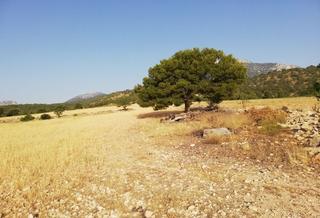 Finca rústica a Aguica m lorca 80. Venta de finca rústica en polígono aguica m. lorca n 80